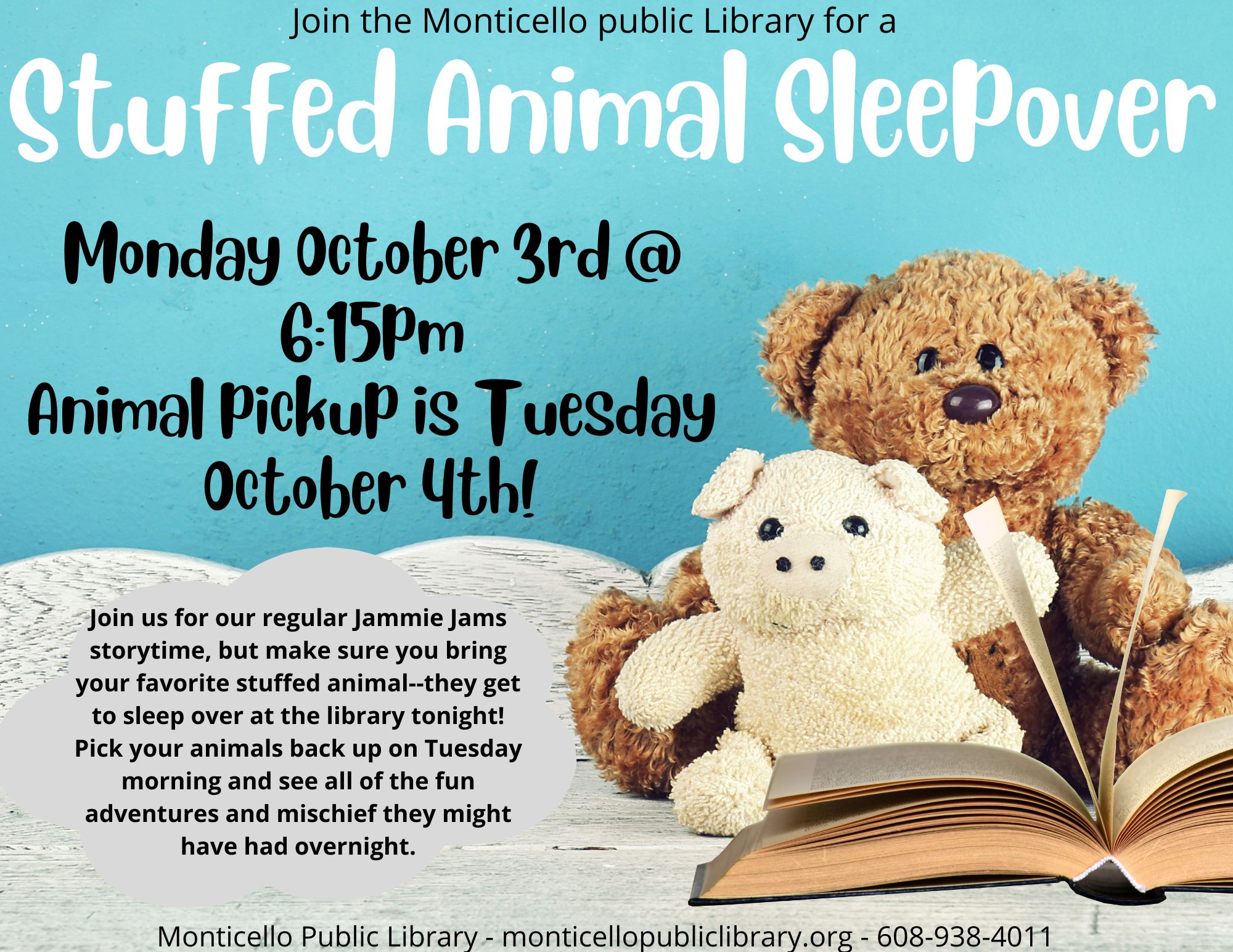 Bring your stuffed animals for a library sleepover