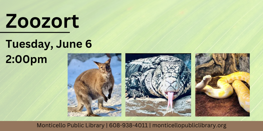 Zoozort: Tuesday June 6 at 2pm